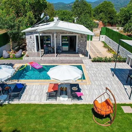 Bunny * Fethiye
