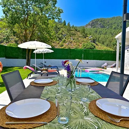 بيت للعطل Bunny *